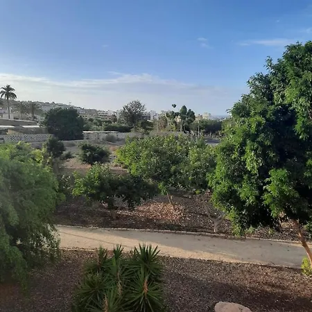 Oasis Del Duque 度假居 *